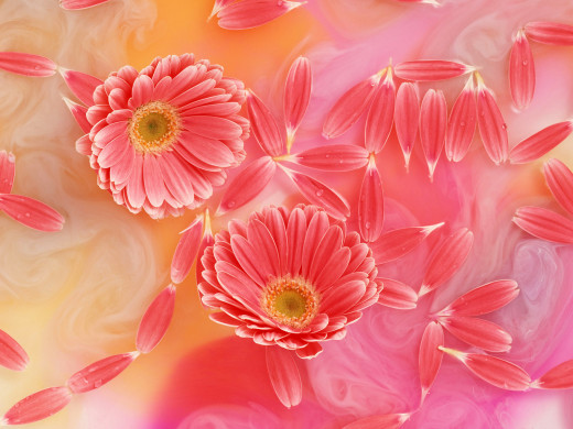 421627 (a): :1600x1200